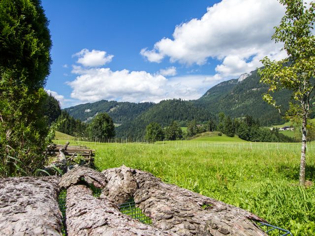 Ferienwohnung Kuhstall